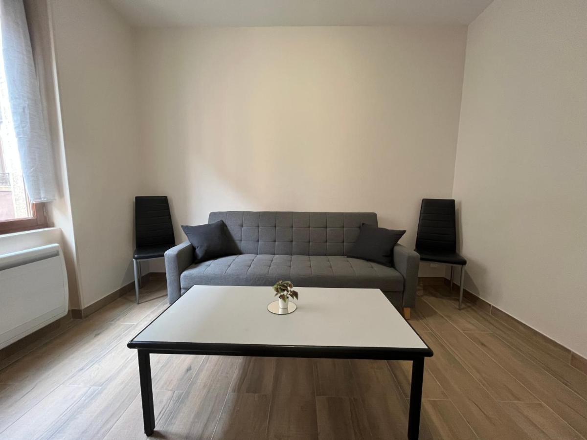 Appartement Renove A 15 Min De Lyon Saint-Fons Kültér fotó