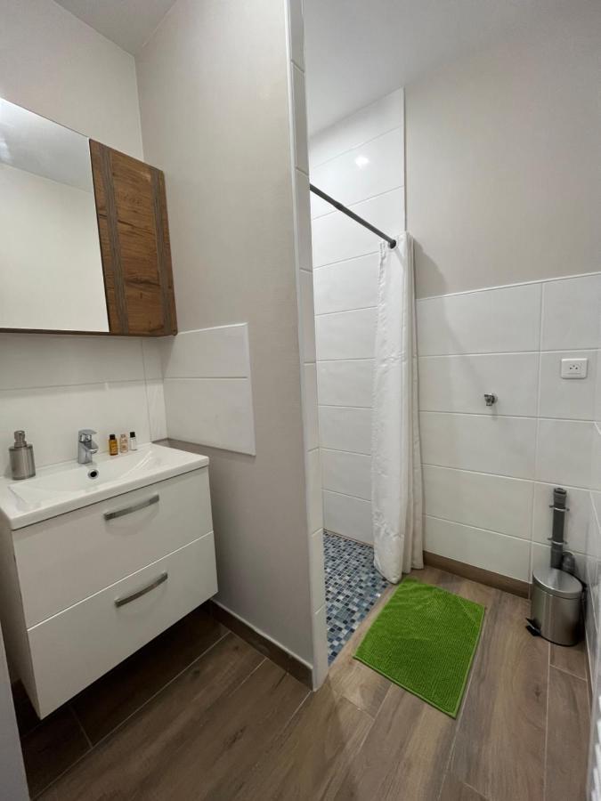 Appartement Renove A 15 Min De Lyon Saint-Fons Kültér fotó