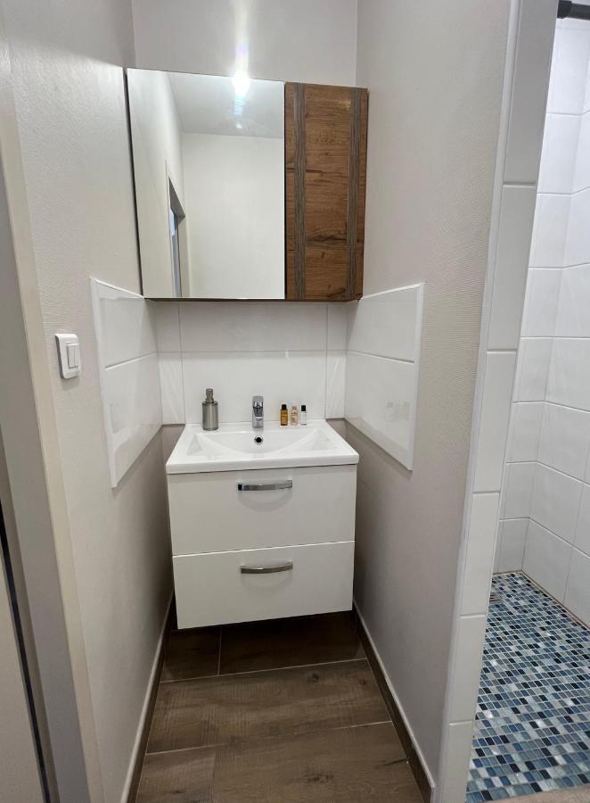 Appartement Renove A 15 Min De Lyon Saint-Fons Kültér fotó